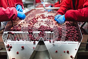 Frozen food factory interiors