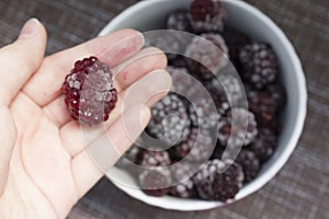 Frozen food, frozen blackberries, frozen berries. Frozen Blackberry Close-Up