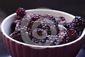 Frozen food, frozen blackberries, frozen berries. Frozen Blackberry Close-Up