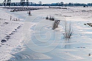 Frozen fore-lands of the IJssel river, the Netherlands photo