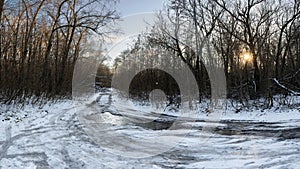 Frozen Forest Path in Winter Sunset Light