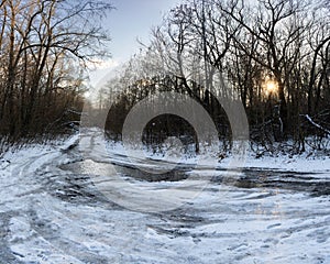 Frozen Forest Path in Winter Sunset Light