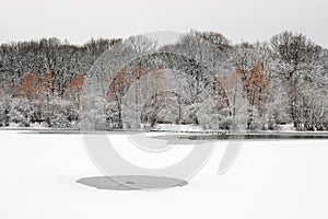A frozen forest after a snowfall in winter on an iced pond. Hole in the ice