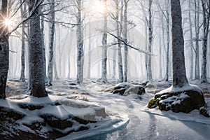 The Frozen Forests of Frost\'s Frontier