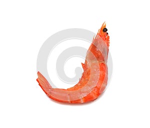 Frozen fresh shrimp, isolated