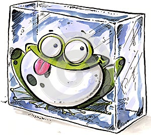 Frozen frog inside a block of ice