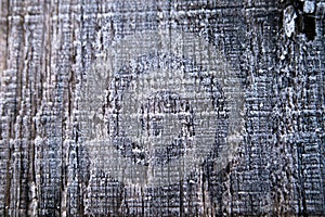 Frozen frost icy rustic weathered wood grain gray textured background