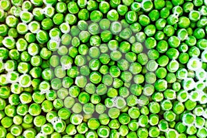 Frozen garden peas boiling in a saucepan. Selective focus.