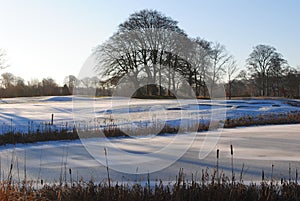 A frozen golf course photo