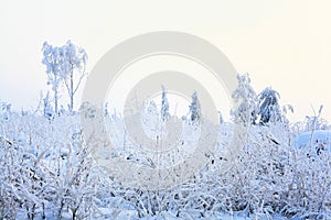 Frozen graass and snow landscape