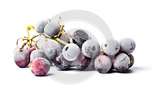 Frozen grapes cluster on white background