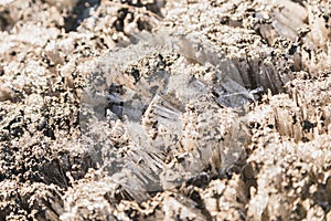 Frozen grass, covered with hoarfrost, Tongariro National Park, New Zealand