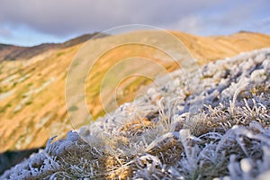 Frozen grass on Skalka mountain during autumn in Low Tatras mountains