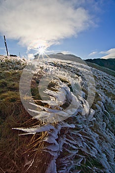 Frozen grass on Skalka mountain during autumn in Low Tatras mountains