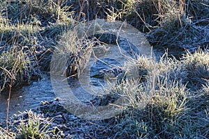 Frozen grass turf