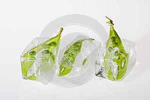 Frozen green pea pods in ice cubes