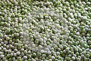 Frozen green peas background, frozen vegetables, selective focus photo