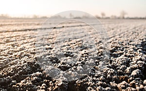 Frozen ground with hoarfrost on a farm field. Unpredictable weather, global climate destabilization. Weather forecast