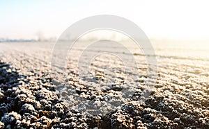 Frozen ground with hoarfrost on a farm field. Weather forecast and development time strategy for sowing growing crops.