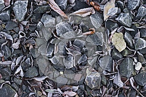 Frozen ground