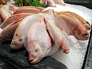 Frozen group of red Tilapia fish, fresh fish in local market