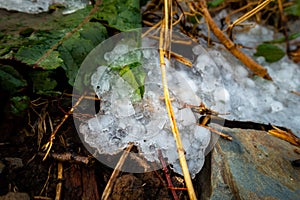 Frozen hailstones in Uttarakhand\'s Himalayan region during winter