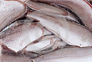 Frozen hake fish