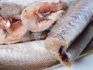 Frozen hake fish as food background