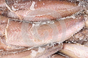 Frozen hake fish as food background