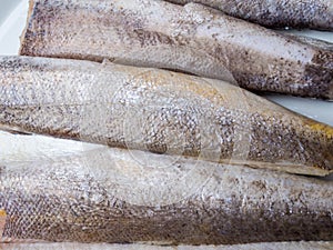 Frozen hake fish as food background isolated on white