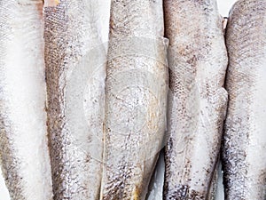 Frozen hake fish as food background, white fish