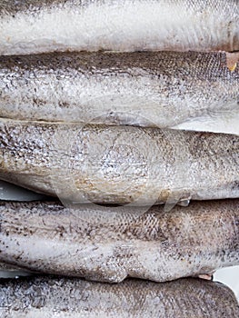 Frozen hake fish as food background, white fish
