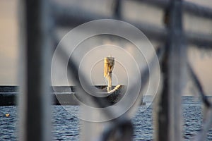 Frozen harbor light