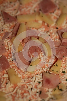 Frozen hawaii pizza with anana macro high quality modern prints fifty megapixels