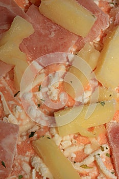Frozen hawaii pizza with anana macro high quality modern prints fifty megapixels