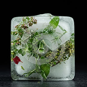 Frozen Herbs in a Clear Ice Cube
