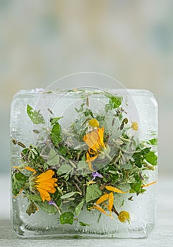 Frozen Herbs and Flowers in Ice Cube