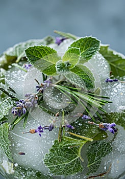 Frozen Herbs in Ice Cubes Close Up