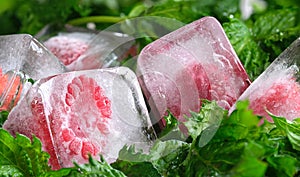 frozen in ice raspberries and green fresh mint leaves close-up