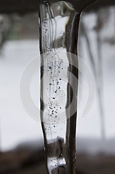 Frozen icicle
