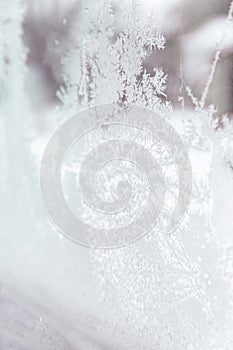 Frozen illuminated Ice Crystals, Frost pattern