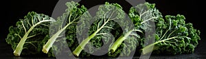 Frozen Kale On White Background Panoramic Banner