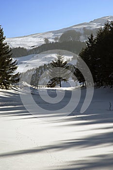 Frozen lake