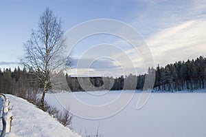 Frozen Lake