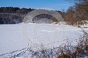 Frozen Lake Alice in winter, in William O`Brien State Park Minnesota