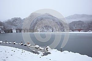 Frozen lake and bridge photo