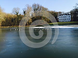 Frozen lake in Brussels