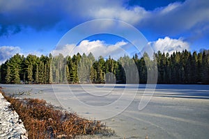 Frozen lake and evergreen forest