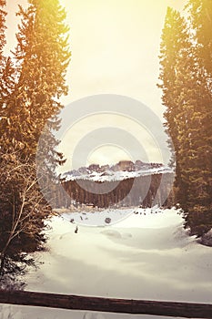 Frozen lake, fir forest and mountains. Lake Carezza in South Tyrol in Italy.