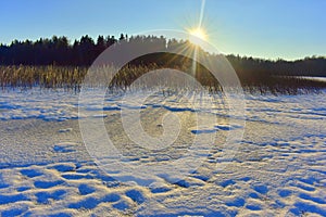 Frozen lake by the forest in cold winter day.